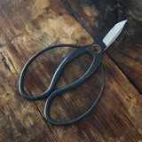 Bonsai Pruning Scissors Set