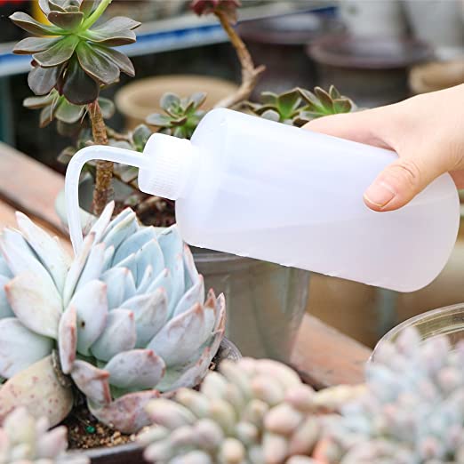 3-Pack Plant Flower Watering Bottle